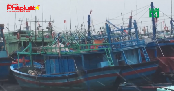 Phát động giải báo chí toàn quốc về phòng chống thiên tai