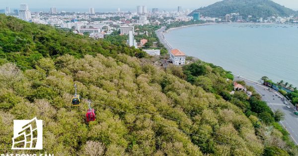 Bà Rịa - Vũng Tàu chỉ đạo khẩn vụ dự án lấn biển Vũng Tàu làm thủy cung