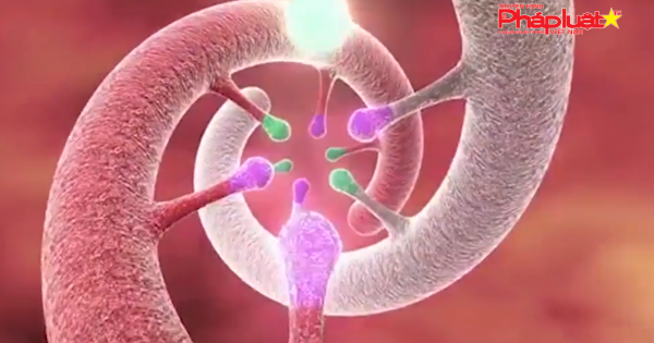 Kỹ thuật mới xạ trị ung thư 'không lo cử động'