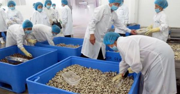 Thêm 3 loại thủy sản của Việt Nam được phép xuất khẩu vào Trung Quốc