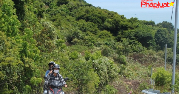 Đà Nẵng cấm đi xe máy tay ga lên Sơn Trà