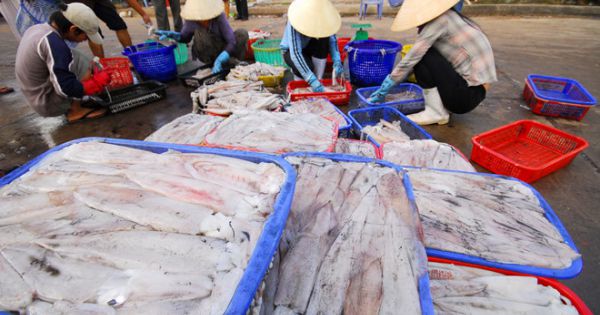 Quyết liệt, khẩn trương, cầu thị để gỡ “thẻ vàng” đối với hải sản Việt Nam