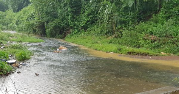 Thủ tướng chỉ đạo xử lý ô nhiễm nguồn nước sạch sông Đà