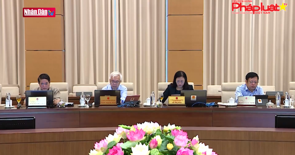 Đưa hộ kinh doanh vào Luật Doanh nghiệp: Chưa 