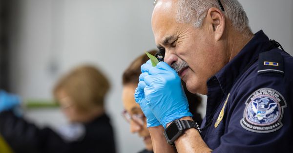 Lực lượng biên phòng Mỹ áp dụng công nghệ nhận diện khuôn mặt