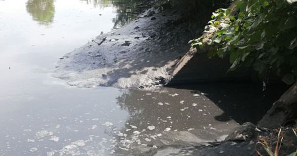 Xả thải vượt chuẩn ra môi trường, một doanh nghiệp ở Cà Mau bị phạt 360 triệu đồng