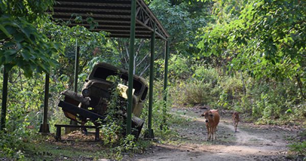 Công trình tái hiện đường mòn Hồ Chí Minh bị bỏ hoang