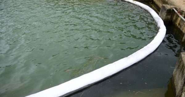 Tất cả mẫu nước sạch sông Đà đều đạt chuẩn về Styren theo QCVN