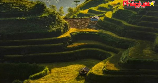 Những 'nấc thang lên trời' ở Hoàng Su Phì