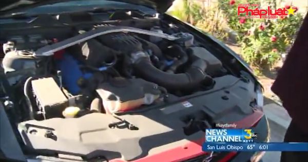 Lãnh hậu quả túi khí Takata, Honda triệu hồi CR-V, Civic tại Việt Nam