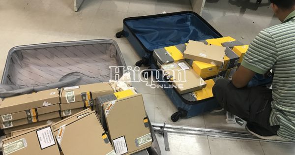 Bắt giữ 3 va ly xì gà nhập khẩu không giấy phép tại Sân bay Tân Sơn Nhất