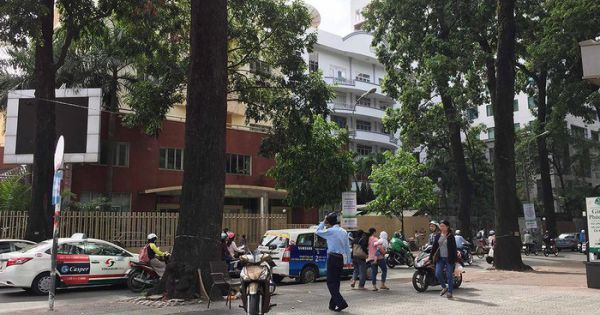 TTCP bị giục báo cáo vụ “bán” lô đất số 8A Mạc Đĩnh Chi, TP.HCM