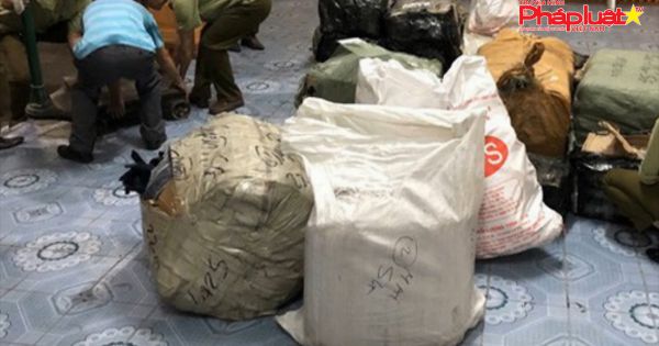 Phát hiện 1 container chứa hàng hóa mang nhãn hiệu Gucci, Nike nhập lậu