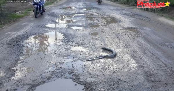 Quảng Ngãi ban hành 33 văn bản 