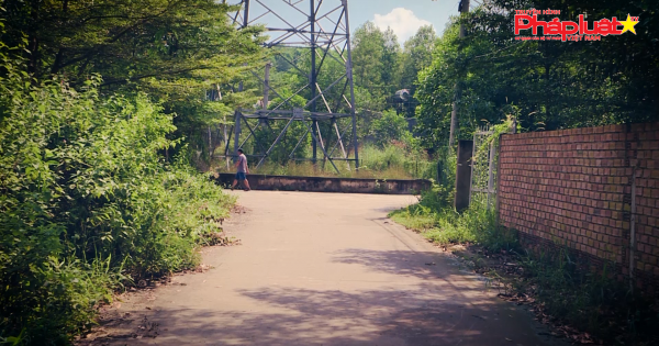 Đồng Nai thực trạng đất do nhà nước quản lý bị phân lô bán nền