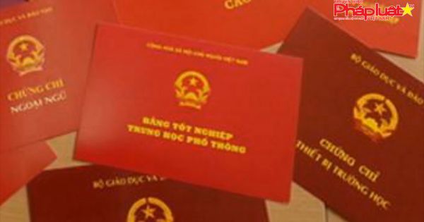 Phó Thủ tướng yêu cầu chấn chỉnh việc mua bán, học giả nhưng văn bằng, chứng chỉ thật