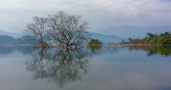 Việt Nam có thêm 4 danh hiệu Vườn Di sản ASEAN