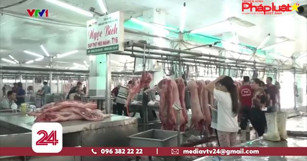 Sau lệnh cấm xuất khẩu tiểu ngạch, giá lợn hơi chững lại