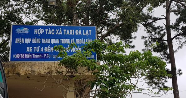 Sa thải Phó giám đốc sai quy định, phải bồi thường hơn 202 triệu đồng