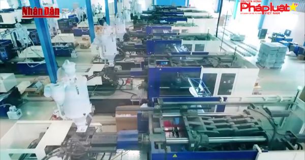 Hơn 12.000 doanh nghiệp thành lập mới trong tháng 10/2019