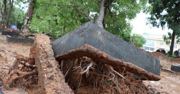 Quảng Nam: Mưa lớn, nước sông đang lên, 1 huyện miền núi bị lũ chia cắt