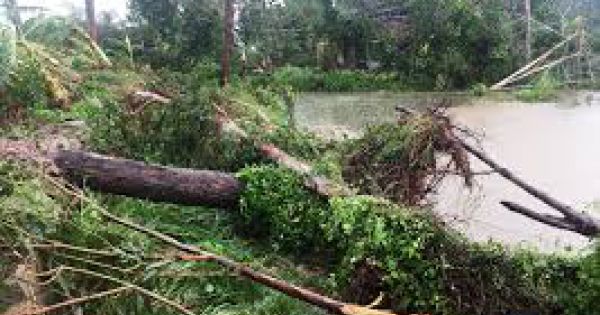 Quảng Ngãi: Bão số 5, 1 người mất tích, 11 người bị thương