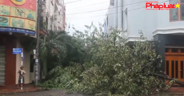 Sắp xuất hiện thêm 1 cơn bão nữa