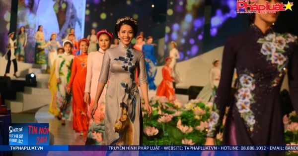 Tin Nóng 24h 2/11/2019