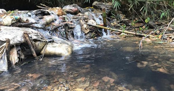 Hà Nội phát hiện Công ty nước sông Đà xả hàng ngàn m3 nước xúc rửa bể chứa ra suối