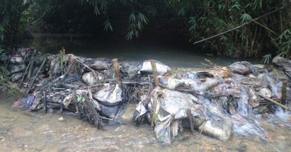 Công ty Nước sạch Sông Đà miễn nhiệm tổng giám đốc