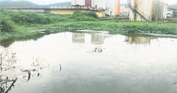 Khắc phục xong sự cố, nhà máy cồn bốc mùi thối được quan trắc lần nữa