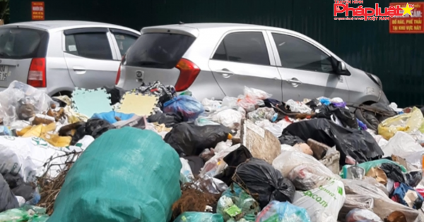 Rác thải nhựa rất độc hại, ảnh hưởng giới tính và gây vô sinh cho trẻ