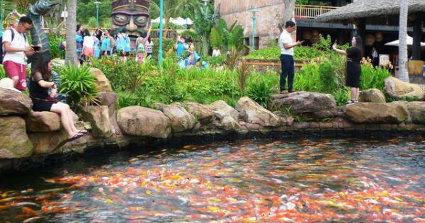 Trải nghiệm cáp treo vượt biển dài nhất thế giới ở Phú Quốc