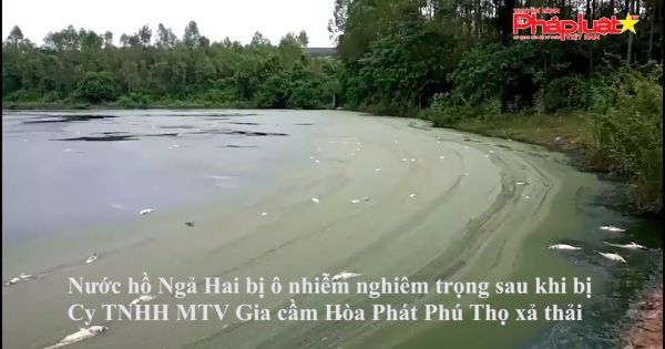 Xả thải ô nhiễm nguồn nước, Gia cầm Hòa Phát bị phạt gần nửa tỷ đồng