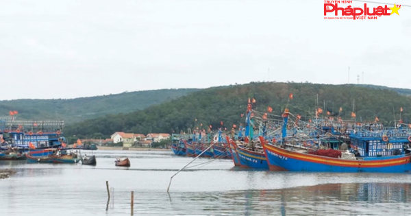 Bão số 6: Không để tàu thuyền chìm khi neo đậu tại cảng