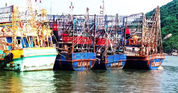 Bảo hiểm bỏ rơi tàu 67