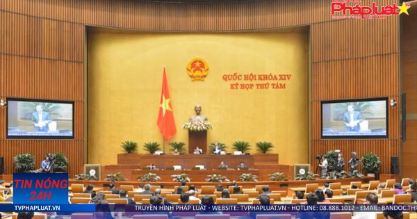 Tin Nóng 24h 12/11/2019