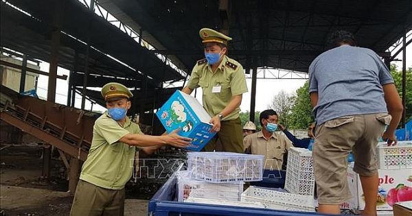 Tiêu hủy hơn 2 tấn trái cây nhập lậu được phát hiện trên xe tải từ TP. HCM về Đắk Nông tiêu thụ