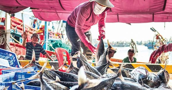 Việt Nam đủ điều kiện pháp lý cơ bản để EC gỡ 