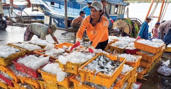 Đề nghị EC sớm gỡ bỏ “thẻ vàng” cho thủy sản của Việt Nam