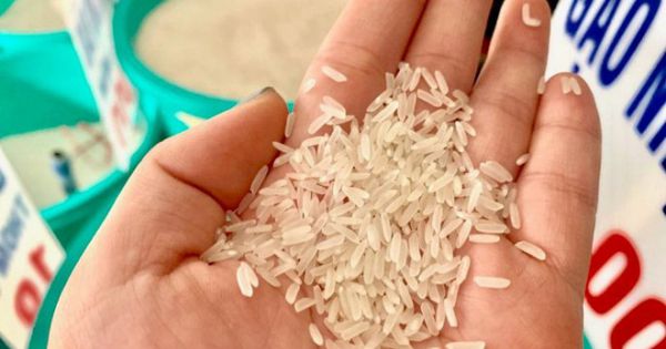 Sau 'đăng quang' quán quân ngon nhất thế giới, gạo ST25 Việt Nam 'cháy hàng'