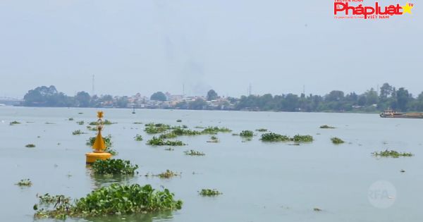 Cấp bách giải cứu sông Đồng Nai