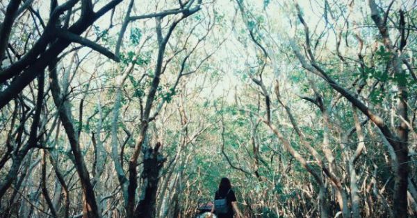 Huế thu hút khách du lịch bởi 5 cảnh đẹp tựa tranh thủy mặc