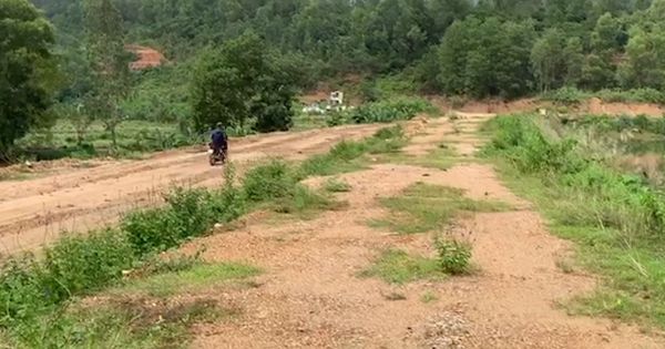 Chính quyền ‘làm ngơ’ để doanh nghiệp cày ủi đập thủy lợi làm đường khai thác đá