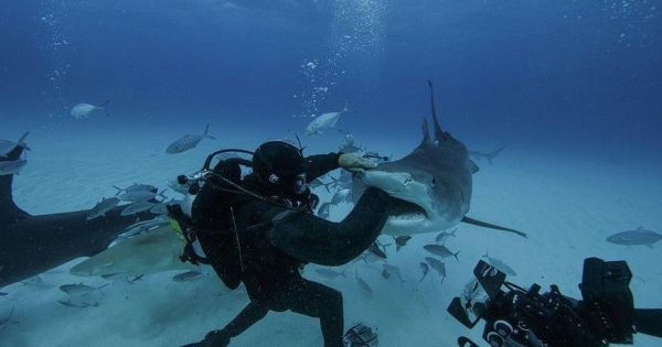 Phát minh bộ quần áo lặn chống cá mập tấn công