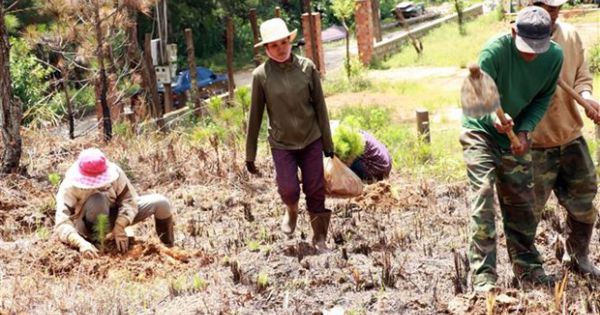 Từ 5/1/2020, xử phạt đến 1 tỷ đồng đối với hành vi lấn, chiếm đất