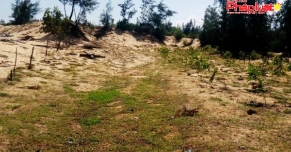 Bình Định: Truy tố và đề nghị xử lý kỷ luật hàng loạt cán bộ “ăn đất”