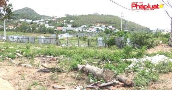 Khánh Hòa: Sai phạm nghiêm trọng trong quản lý và cấp quyền sử dụng đất tại xã Vĩnh Ngọc