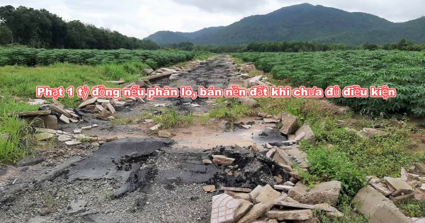 Từ 5/1/2020, phân lô, bán nền đất khi chưa đủ điều kiện sẽ bị phạt đến 1 tỷ đồng