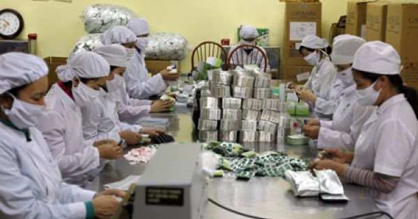 Công ty Cổ phần Dược phẩm Yên Bái bị xử phạt 85 triệu đồng